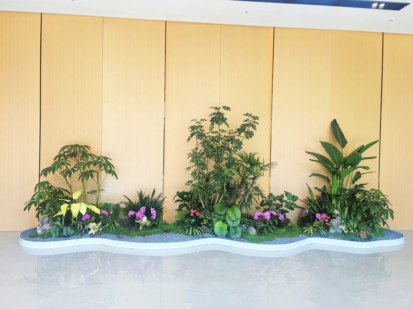 专业盆景出租,宁波北仑的绿色点缀新选择